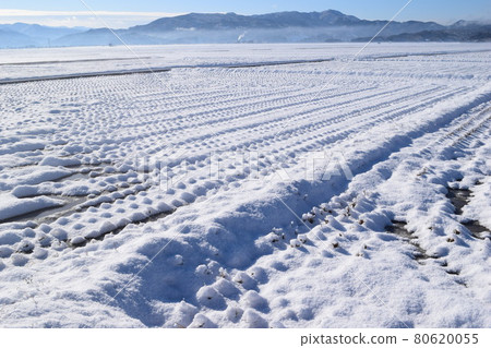 Paddy field covered with snow Paddy field covered with snow 80620055