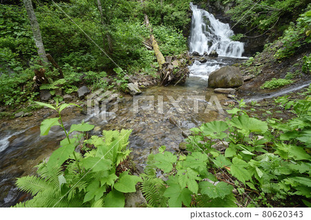 Kuroiwa Waterfall (Hokkaido, Nishikobu Village) 80620343