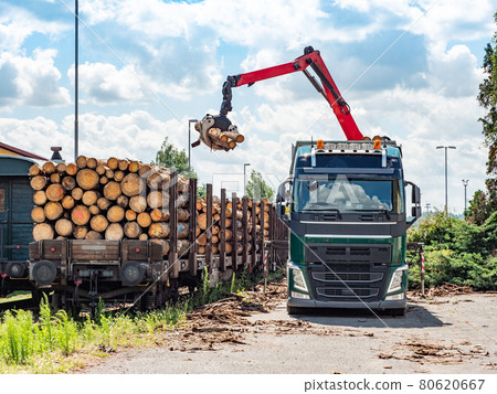 Road truck is loading the railway heavy wagon with spruce trunks. 80620667