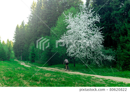 morning bike ride along the forest path morning bike ride along the forest path 80620822