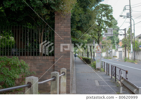 東京都豐島區六義園 / Komagome 東京都豐島區六義園 / Komagome 80620999