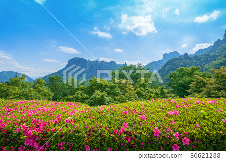 Mt. Myogi, the cheerfulness of early summer, the scenery from the vicinity of the Myogi Furusato Museum Mt. Myogi, the cheerfulness of early summer, the scenery from the vicinity of the Myogi Furusato Museum 80621288