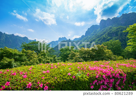 Mt. Myogi, the cheerfulness of early summer, the scenery from the vicinity of the Myogi Furusato Museum 80621289