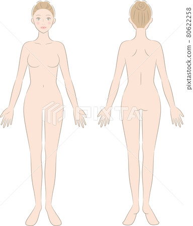 female body Stock Illustration