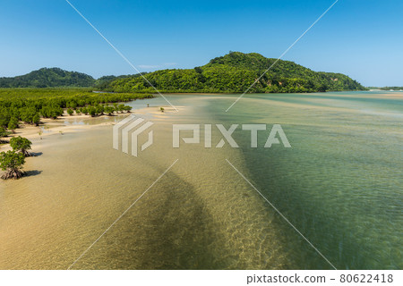 Amazing Okinawa large river, blue waters, lush mangrove forest, green mountains, blue sky. Iriomote Island. 80622418