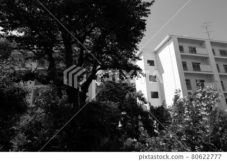 封閉的複雜 封閉的複雜 80622777