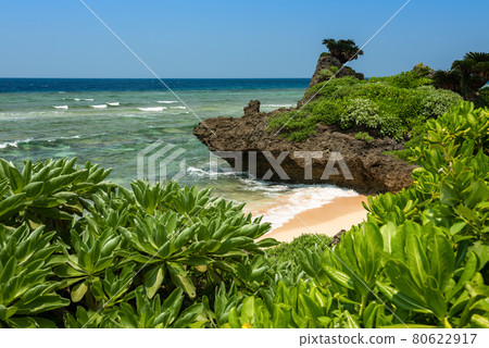 Gorgeous paradise beach seen through seashore plants, emerald green sea, coastal rocks, blue sky. Iriomote Island, natural world heritage, Unesco. 80622917