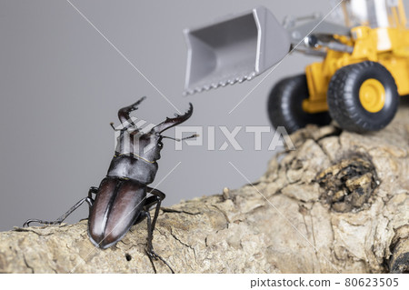 男性 Nokogiri Kuwagata 面對重型機械 80623505