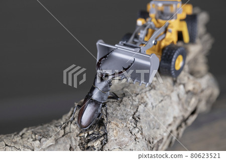 Male Nokogiri Kuwagata confronting heavy machinery 80623521