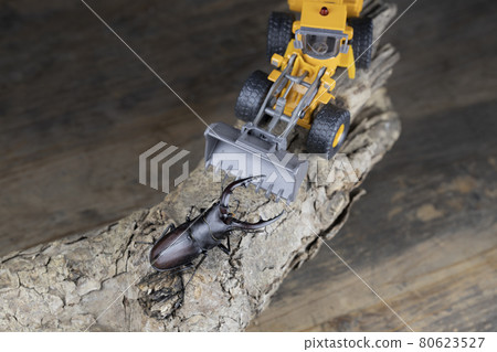 男性 Nokogiri Kuwagata 面對重型機械 80623527