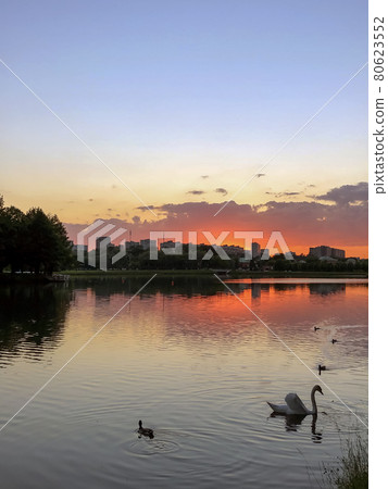 Dramatic sunset clouds over lake with swan and trees - stock photo Dramatic sunset clouds over lake with swan and trees - stock photo 80623552