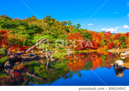 天龍寺宗源園和紅葉 天龍寺宗源園和紅葉 80624041