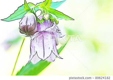 柔和的風格“風鈴”插圖圖像風鈴 80624182