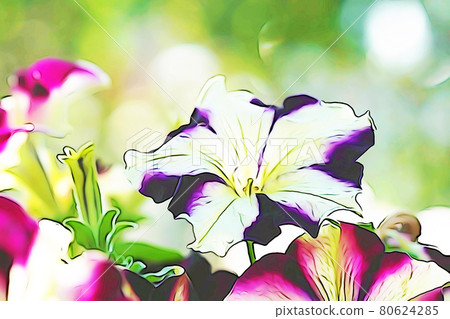 柔和的風格“矮牽牛”插圖圖像 80624285