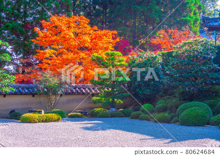 Hodogate garden of autumn temple and autumn leaves Hodogate garden of autumn temple and autumn leaves 80624684