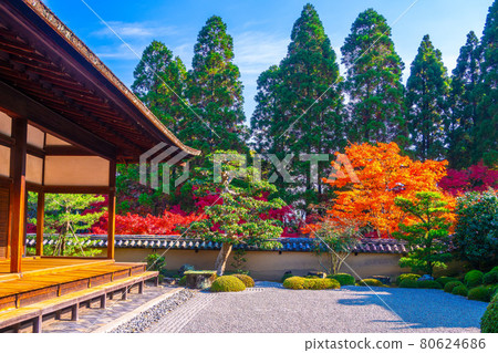 秋天寺廟和秋葉Hodogate庭院 80624686
