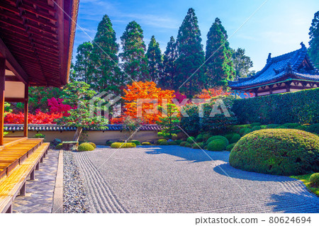 Hodogate garden of autumn temple and autumn leaves 80624694