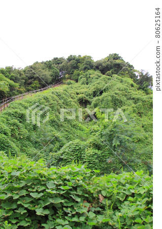 Yoshimichi Suma Ichinoya 80625164