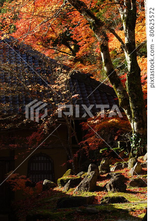 Autumn leaves and dry landscape garden at Eigenji Temple in Shiga 80625572