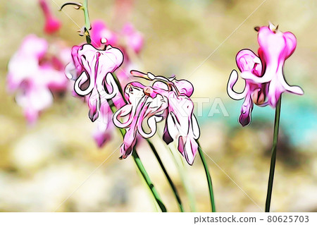 Pastel style "Dicentra" illustration image Pastel style "Dicentra" illustration image 80625703