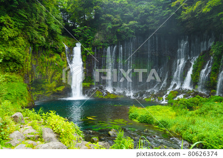 Shiraito Falls in Fujinomiya City, Shizuoka Prefecture Shiraito Falls in Fujinomiya City, Shizuoka Prefecture 80626374