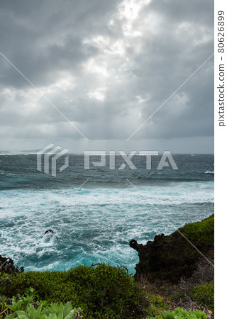 Amazing cliff view, rough sea, gray clouds with soft sunbeams illuminating the horizon, coastal vegetation. Iriomote Island. 80626899