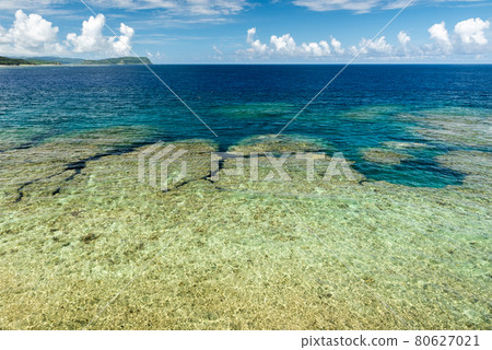 Top view of a jagged coral reefs at low tide, crystalline sea, deep blue ocean. Iriomote Island. 80627021