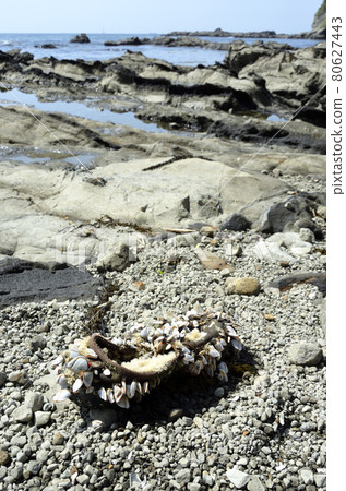 Drifting Eboshigai Eboshigai Drifting object wide 80627443