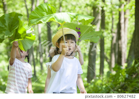 Children playing in the forest Children playing in the forest 80627482
