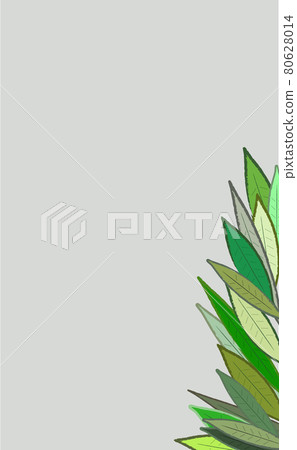 樹葉背景 樹葉背景 80628014