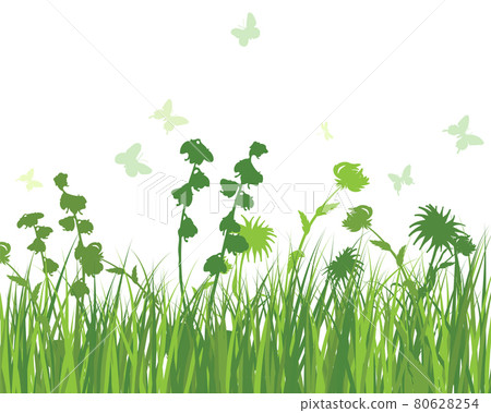 Green Grass Meadow Green Grass Meadow 80628254