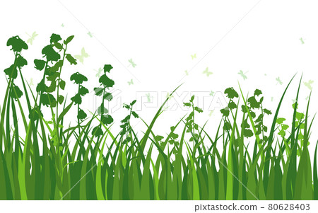 Green Grass Meadow Green Grass Meadow 80628403