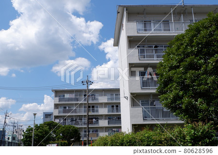 Suburban Complex 80628596