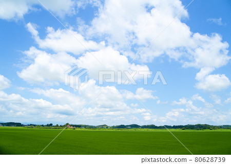 藍天、藍天、雲彩和田園風光 雲彩和田園風光 藍天、藍天、雲彩和田園風光 雲彩和田園風光 80628739