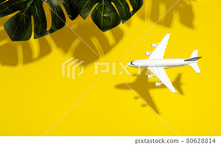 Travel minimal background. Model airplane in flight on an empty colored background with shadows of tropical leaves. Copy space 80628814