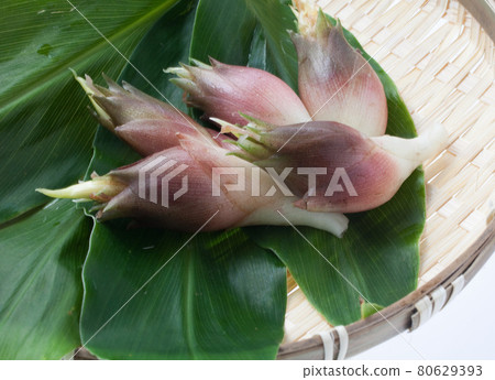 Japanese ginger freshly picked 80629393