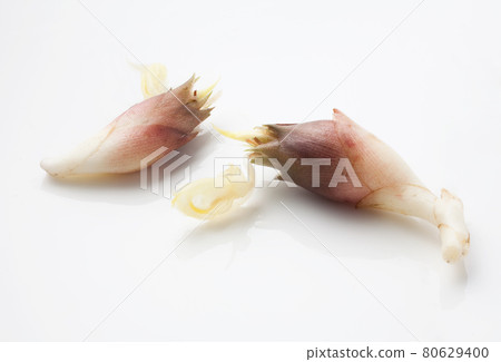 新鮮採摘的日本生薑 新鮮採摘的日本生薑 80629400