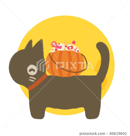 Halloween illustration (black cat) 80629602