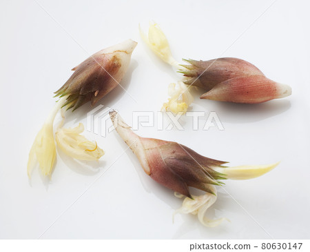 新鮮採摘的日本薑花 80630147