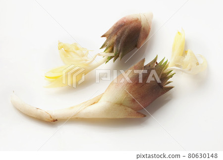 Japanese ginger flower freshly picked 80630148