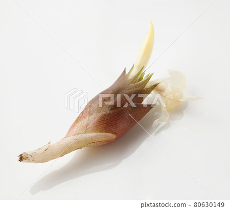 Japanese ginger flower freshly picked 80630149