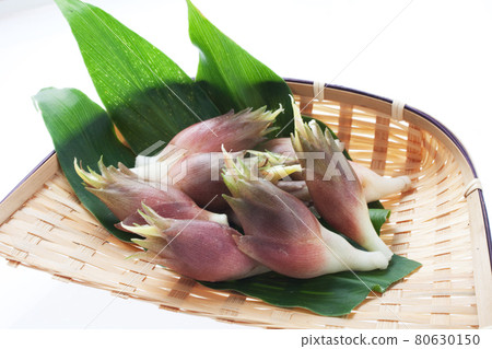 Japanese ginger freshly picked 80630150