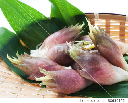 Japanese ginger freshly picked 80630152