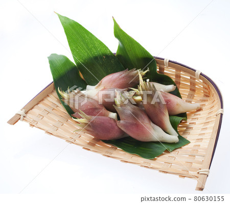 Japanese ginger freshly picked 80630155