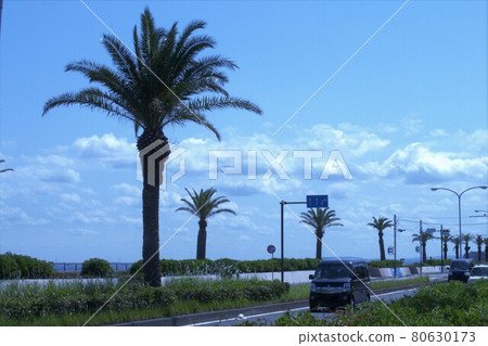 沿海街道 沿海街道 80630173