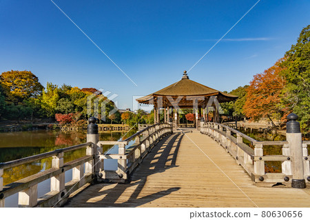 Ukimido floating in the beautiful autumn leaves of Sagiike in Nara Park, Nara City, Nara Prefecture 80630656