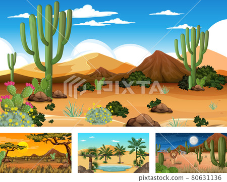 Different scenes with desert forest landscape with various desert plants Different scenes with desert forest landscape with various desert plants 80631136