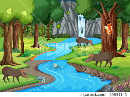 Nature scene with stream flowing through the forest with wild animals 80631145