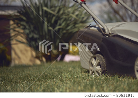 Black and gray modern grass-cutter mowing green lawn in a garden of country house. Gardening care equipment. Close up Black and gray modern grass-cutter mowing green lawn in a garden of country house. Gardening care equipment. Close up 80631915
