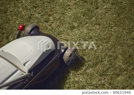 Professional grass-cutter mowing green lawn on backyard. Gardening care equipment. Sunny day, close up 80631946